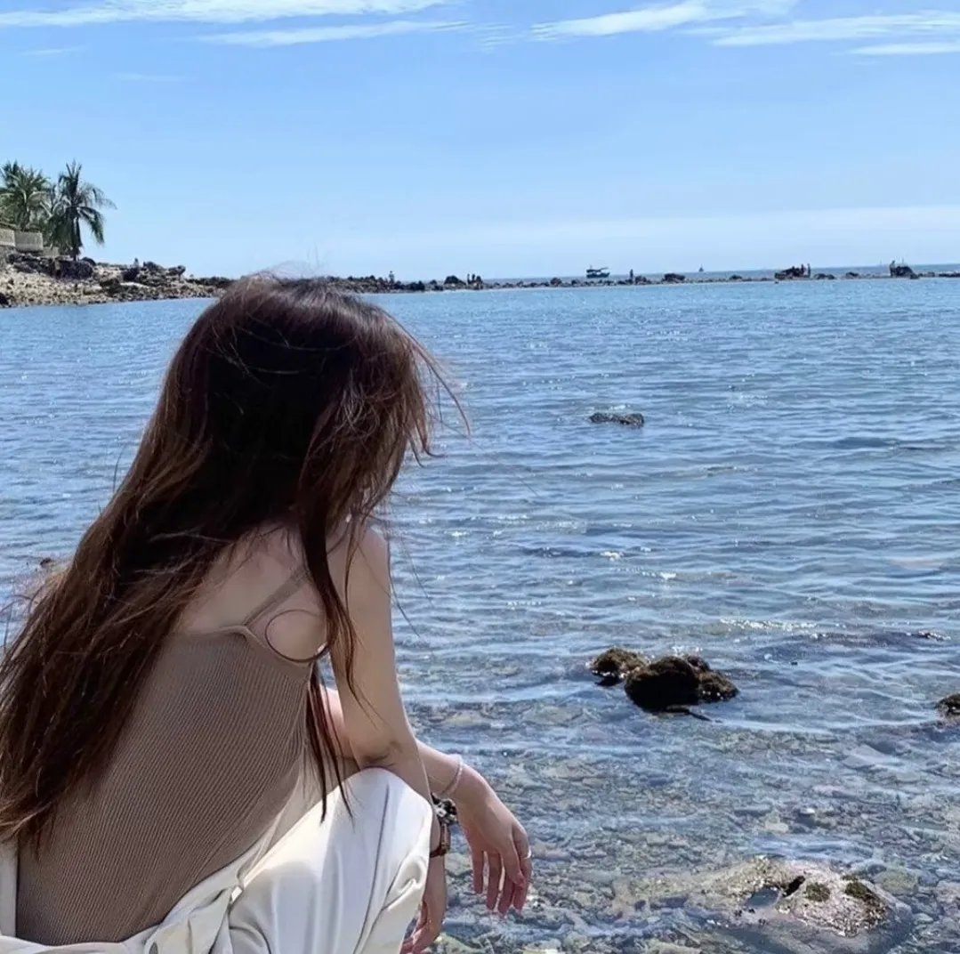 追梦小海豚